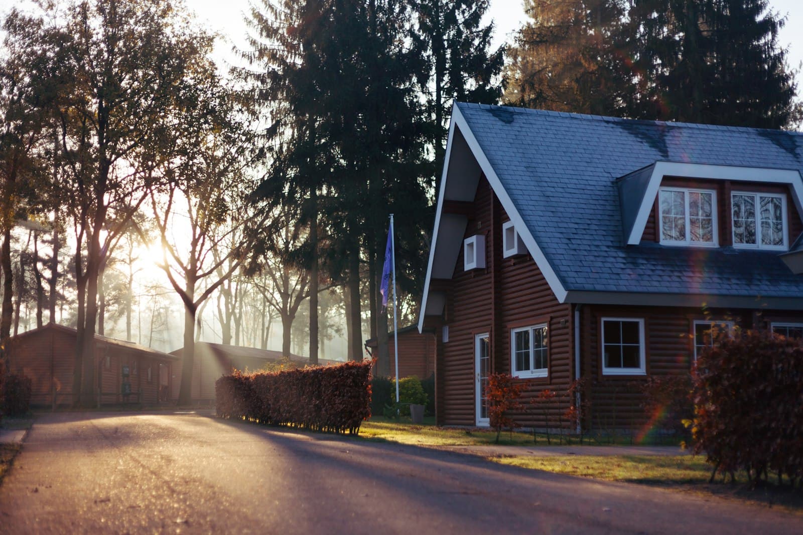 House surrounded by trees